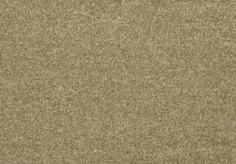 561