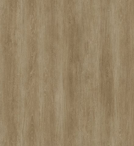 ECOCLICK55 OFC-055-022