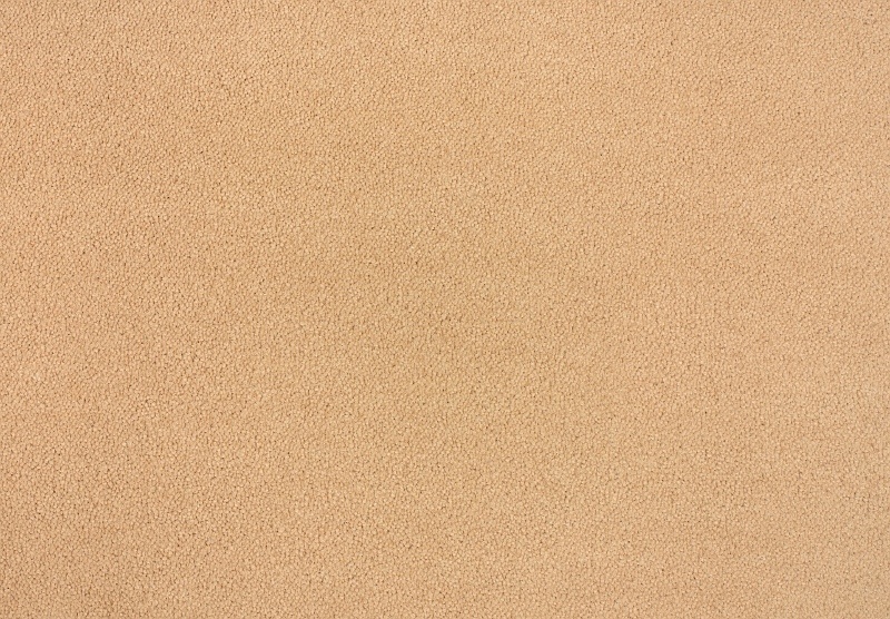 Fotka 1