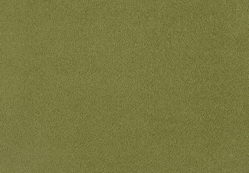 Fotka 1