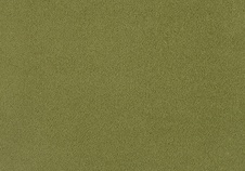 Koberec ZEN 511 sv.zelený
