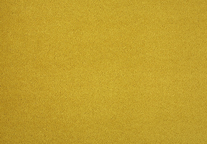 Fotka 1