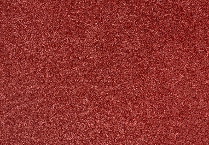 Fotka 1